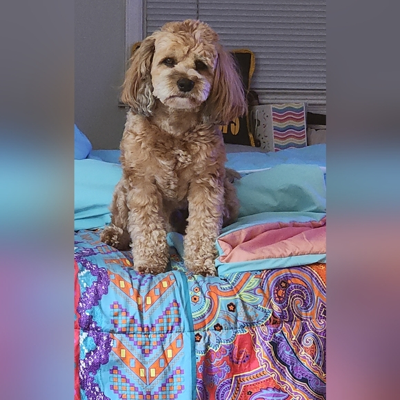 I Consider Offers🌻 - Picture 7 of 14